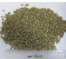 best quality Coffee Beans