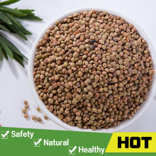 Green split lentils wholesale