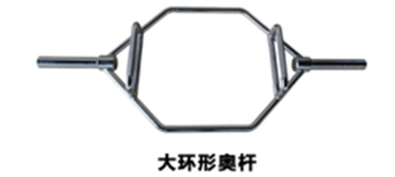 High quality Ring Rod Fitness Equipment