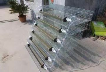 Quail breeding cage