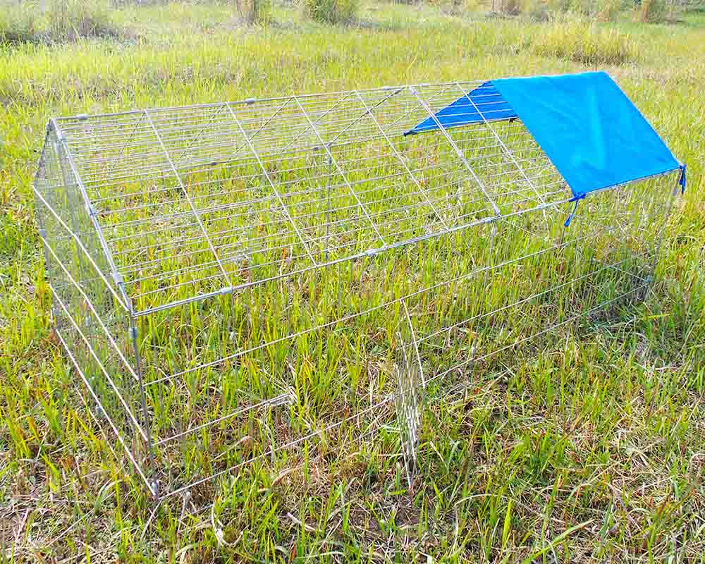 Chicken kennel cage