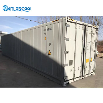 20 ft Container Blast Freezer Commercial Food Quick Moving Blast Freezer Room