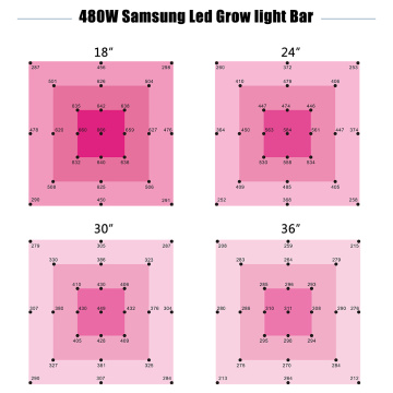 LED de espectro completo cresce luzes fáceis de instalar