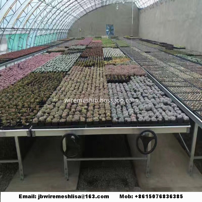 Galvanized Welded Wire Mesh Greenhouse Rolling Benches