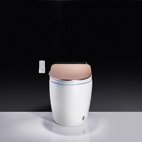 Einteilige bodenmontierte intelligente Toilette in Roségold