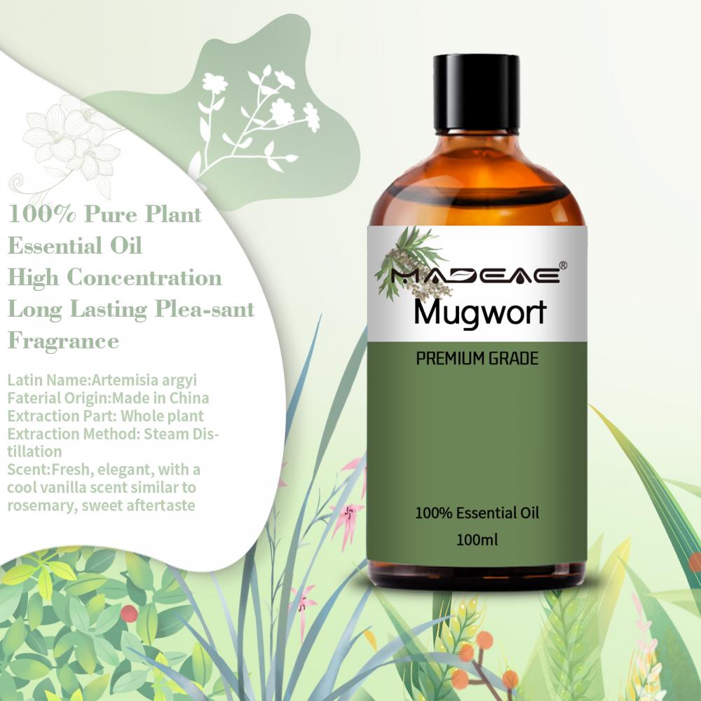 Ekstrak alam murni uap distilasi mugwort minyak esensial grosir minyak artemisia alami untuk pijat tubuh