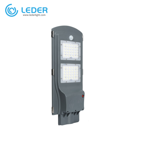 LEDER Induktions-Stehleuchten mit integrierter Straßenbeleuchtung