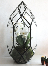Black Metal Terrarium Glass Terrarium for Flower and Plants Microlandschaft Container