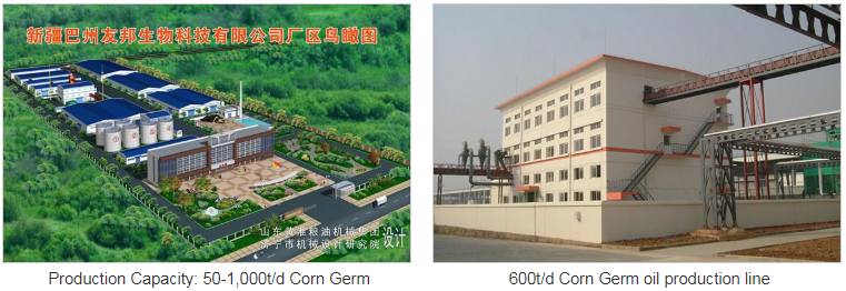 Maiskeimöl-Produktionslinie Corn Germ Oil Production Line