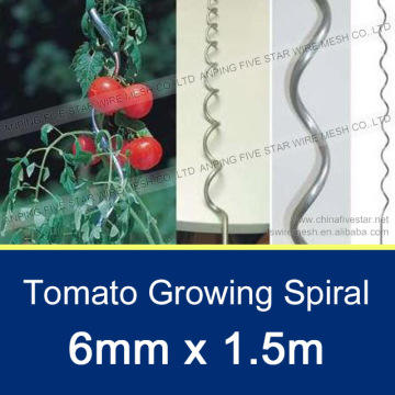 Tomato Growing Spiral / Plant Support Wire