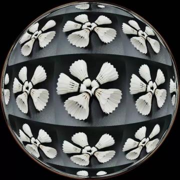 Retail 100% Goose Feather Badminton Shuttlecocks Ball