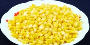 IQF Frozen Sweet Corn Kernels