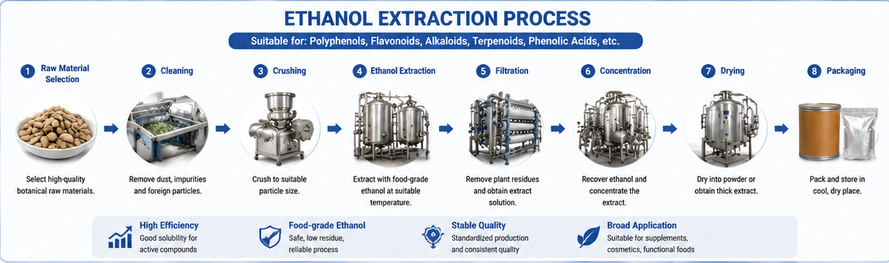 نبات اكساراكت Plant Exaract