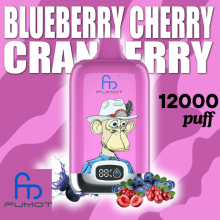 Fumot 12k Vape Disposable E-Cig Best Taste