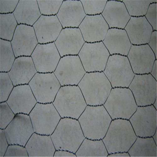 Galvanised Hexagonal Wire Mesh for Chicken