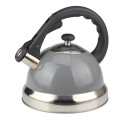 Fastest Boiling Surgical Stainless Steel Tea Kettle