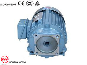Yqb Series Motor/Three-Phase Asynchronous Motor Used for Oil Pump Motor with Ie2