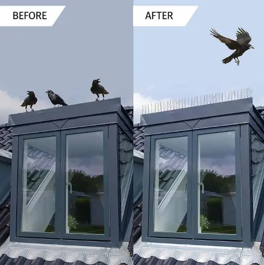 Cheap Bird and Pigeon Spikes Control