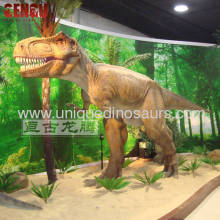 Dinosaur Museum Exhibits?