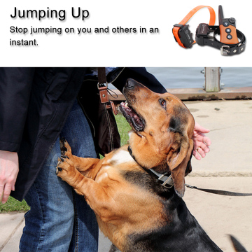 100 Levels Rechargeable Dog Training Electric Shock Collars