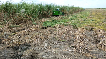 Combine sugarcane harvester machine