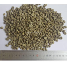 top sale Arabica Fresh Green Coffee