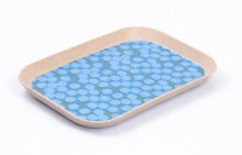 Corn Fiber Service Plate, Environment Protection Tableware