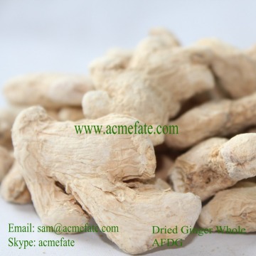 Best price Chinese dry ginger export