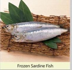 Frozen Sardine Fish For Fishing