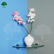 Decorative wall mounted glass shelf units R