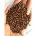 Perilla Seed high quality