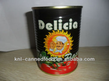 Double concentrated tomato paste 400g24tins