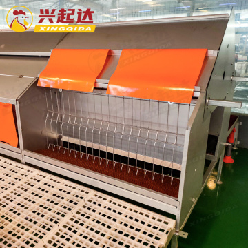 Automatic Egg Collection System for Chicken Nesting Boxes in Poultry Farms