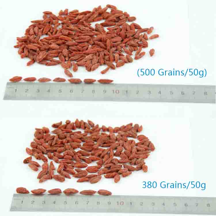 Wholesale Health Dehydrated Fruit Goji Berry Lycium chinensis