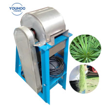 Automated Sisal Processing: Machinery and Equipment for Decorticating and Shelling Sisal Fibers