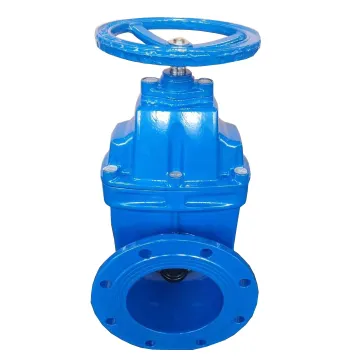 BS5163 Elastic Seat Seal Gate Valve