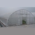 Greenhouse de tunnel à une seule portée