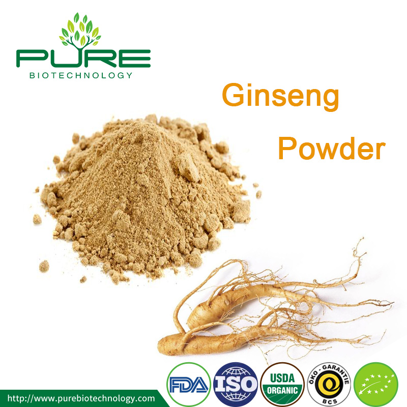 Polvere di Ginseng Ginseng Powder
