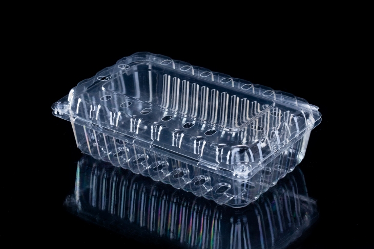 Récipient en plastique transparent pour coquille de fruits