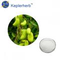 30% Griffonia Seed Extract 5-HTP SC/HACCP/ISO