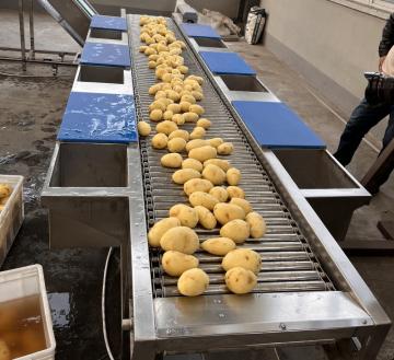 Automatic baked potato chips production line