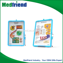 Medical Disease Board with Base-Cholesterol