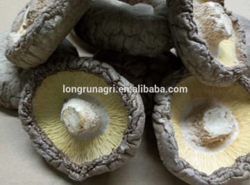 Manufacturer Supply Smooth Lentinus Edode Without Foreign Matters