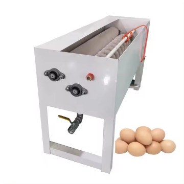 Egg Processing Production Line: Brush Egg Washing Machine and Salty Duck Egg Washing Machine