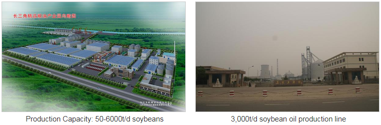 Linea di produzione di olio di soia Soybean Oil Production Line