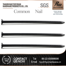 low price checkered head common nails (factory)