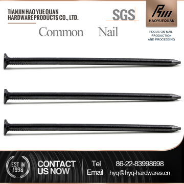 low price checkered head common nails (factory)