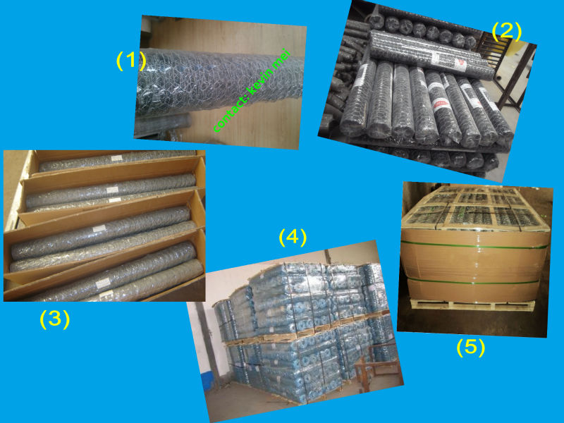 CE certificated Galvanized Grillage Triple Torsion