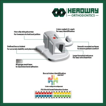 Edgewise Non-Convertible First Molar Bondable Buccal Tube