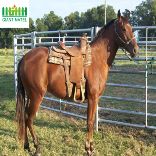 Easily Assembled PVC Coated Horse Fence Panels